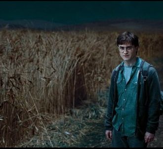 ' Harry Potter et les Reliques de la Mort  Partie 1'