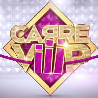 Audiences : TF1 a du mal à se relever de "Carré ViiiP"