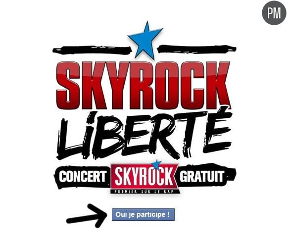 Le concert gratuit "Skyrock Liberté"