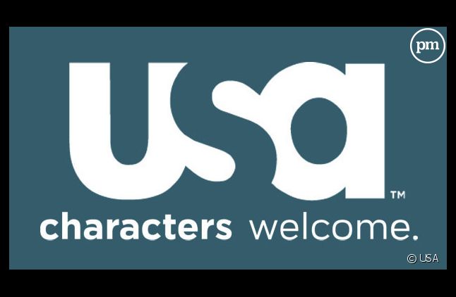 Le logo de USA Network