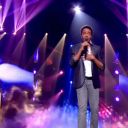 Stéphan Rizon chante "With A Little Help From My Friends"