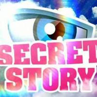 Audiences : bilan en demi-teinte pour "Secret Story 6"