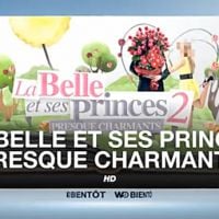 W9 : "La Belle et ses princes presque charmants 2" arrive le 16 avril