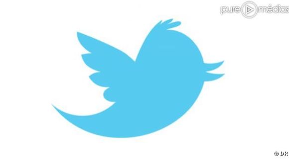 Un milliard de recettes pub pour Twitter en 2014 ?