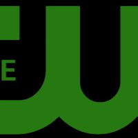 Grilles 2013/2014 : The CW chamboule toutes ses cases sauf "Arrow" et "Vampire Diaries"