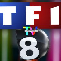 TV Notes 2013 : TF1 et D8 élues chaînes de la saison 2012-2013