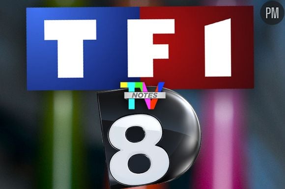 TF1 et D8, chaînes de la saison (TV Notes 2013).