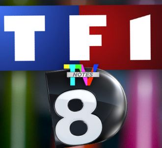 TF1 et D8, chaînes de la saison (TV Notes 2013).