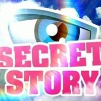 Audiences : "Secret Story" peine à convaincre