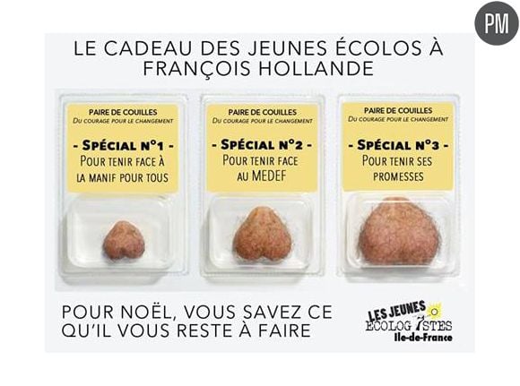 Pub : Le cadeau des Jeunes écolos à François Hollande