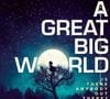 4. A Great Big World - "Is There Anybody Out There?"