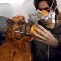 Delta Airlines ressuscite Alf pour sa nouvelle vidéo de consignes de sécurité