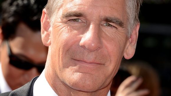"NCIS" : Scott Bakula et Zoe McLellan, héros du spin-off à la Nouvelle Orléans