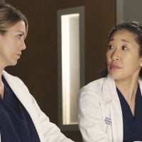 TV Notes 2014 : "Grey's Anatomy" et "Scènes de ménages" séries de l'année