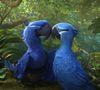 "Rio 2" est le 3e film le plus vu au 1er semestre 2014 (3 millions d'entrées)