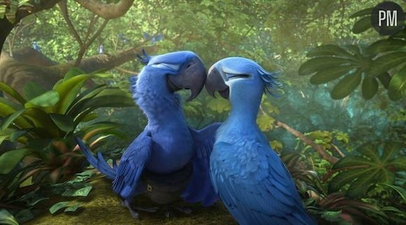 "Rio 2" est le 3e film le plus vu au 1er semestre 2014 (3 millions d'entrées)