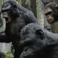 Premières séances : "La Planète des singes" démarre très fort