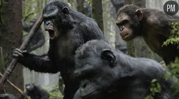 "La Planète des singes : l'affrontement" 3e meilleur démarrage 2014
