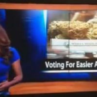 Une journaliste démissionne en plein direct... pour aller cultiver du cannabis !