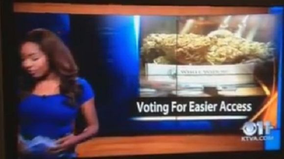 Une journaliste démissionne en plein direct... pour aller cultiver du cannabis !