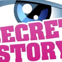 Audiences : Bilan stable pour "Secret Story 8"