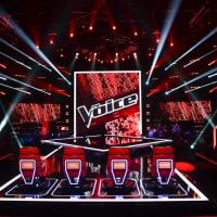 Audiences : "The Voice" de retour en baisse devant France 3, "NCIS : Los Angeles" chute