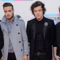 One Direction, "dégoûté" par le départ de Zayn, livre sa première interview