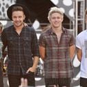 Disques : One Direction bat des records, Louane résiste, Keen'V fait fort