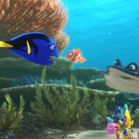 "Le Monde de Dory" : Première bande-annonce de la suite du "Monde de Nemo"