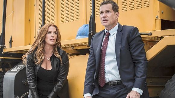 "Unforgettable" n'aura pas de saison 5