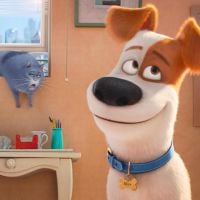 Box-office US : "Comme des bêtes" réalise un démarrage record, "Dory" plus gros succès de 2016