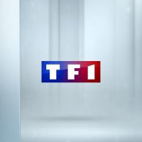 TF1 se renforce dans la vidéo en ligne