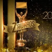 Arthur remet les "Z'Awards de la télé" ce soir sur TF1