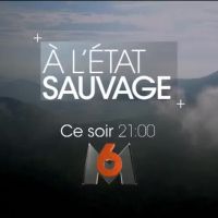 "A l'état sauvage" avec M. Pokora ce soir sur M6