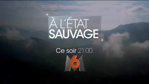 "A l'état sauvage" avec M. Pokora ce soir sur M6