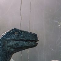 Box-office : "Jurassic World 2" repart à la hausse, déception pour "Sicario 2", "Budapest" et "Les Affamés"