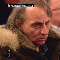 "Je ne suis pas intéressant" : Michel Houellebecq explique à "Stupéfiant !" pourquoi il ne parle plus aux médias