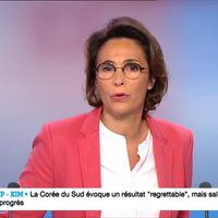 Menacée de morts par des Gilets jaunes, une journaliste de France 24 protégée par "dix cars de CRS"