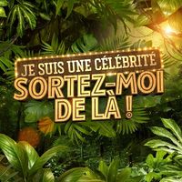 Audiences : "Tandem" leader devant le lancement de "Je suis une célébrité", gros flop pour "Le grand bazar" de M6