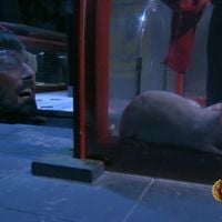 "Fort Boyard" : Laurent Kerusoré ("Plus belle la vie") pris de panique face à des rats