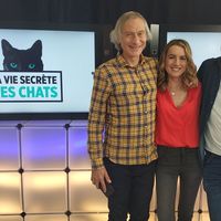 "La vie secrète des chats" : La saison 3 arrive le 27 octobre sur TF1