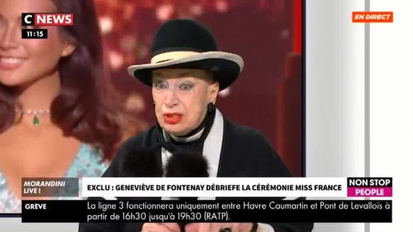 Geneviève de Fontenay flingue "Miss France 2020" : "Le décor était moche comme tout"