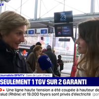 Grève à la SNCF : Une journaliste de BFMTV interpellée en plein duplex par une voyageuse