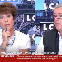 Michel Onfray défend "Valeurs actuelles" : "On a le droit à la fiction !"