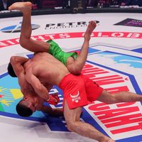 Le CSA donne son feu vert à la diffusion du MMA à la télévision française