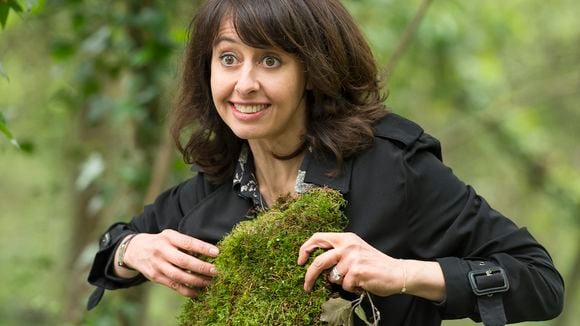 "Fais pas ci, fais pas ça" : Que vaut le retour des Lepic et des Bouley ce soir sur France 2 ?