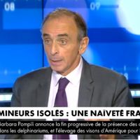 "Les mineurs isolés sont violeurs" : 200.000 euros d'amende pour CNews après les propos d'Eric Zemmour