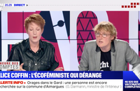 Accrochage entre Natacha Polony et Alice Coffin sur BFMTV
