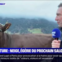 Une vache agitée sur BFMTV, Darmanin critique Hanouna, Salamé défend le service public : Le zapping de la semaine