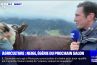Une vache agitée sur BFMTV, Darmanin critique Hanouna, Salamé défend le service public : Le zapping de la semaine